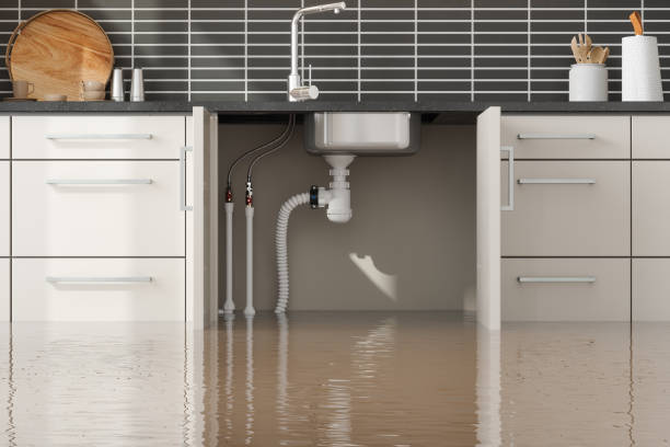 Best Basement water damage restoration  in Norwalk, OH