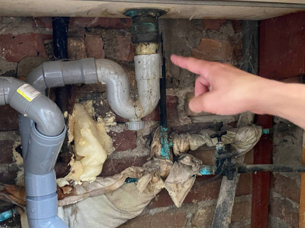 Best Ceiling water damage repair  in Norwalk, OH