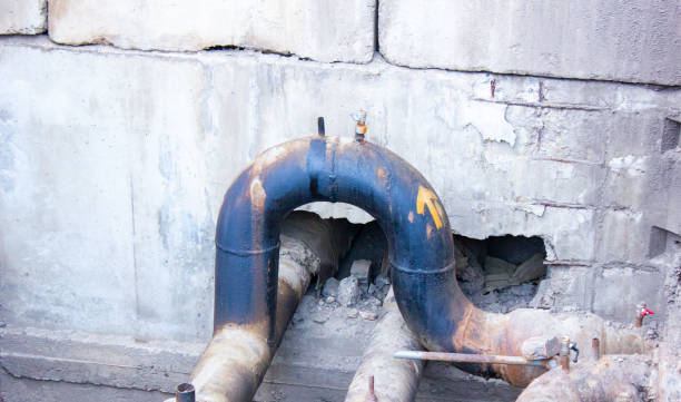 Best Flood restoration services  in Norwalk, OH