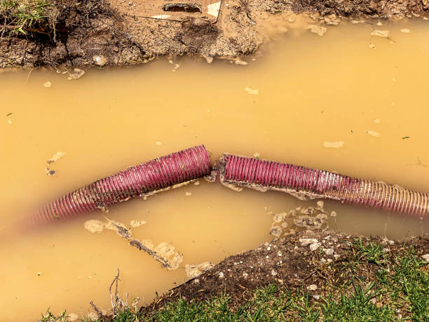 Best 24-hour water damage restoration  in Norwalk, OH