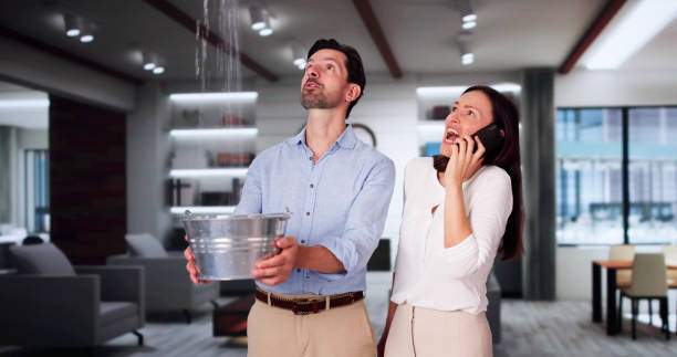 Best Basement water damage restoration  in Norwalk, OH